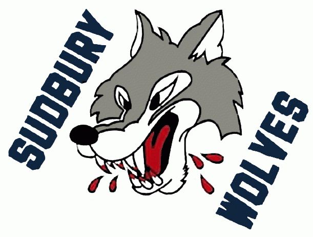 Sudbury Wolves 1989-2009 jersey logo iron on transfers for T-shirts